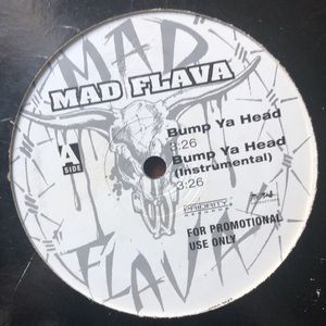 Mad Flava House Wreckers Vinyl Lp '94